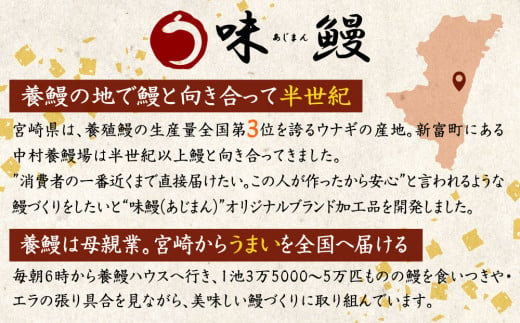 新仔!!味鰻うなぎ蒲焼3尾（無頭）・鰻丼の素6袋セット（きざみ）本格手焼備長炭蒲焼 化粧箱入 熨斗対応可【E164-2311】