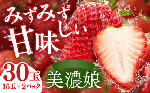 岐阜いちご 美濃娘 2P【1月までの入金で今期の発送】 イチゴ 苺 みのむすめ 岐阜市/JAぎふ [ANAO004]