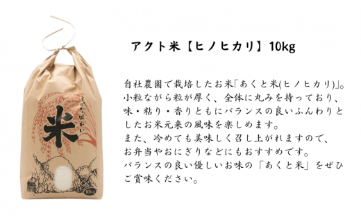 定期便 お米 【令和6年産 予約受付】 アクト米 ヒノヒカリ 白米 10kg 3ヶ月連続お届け