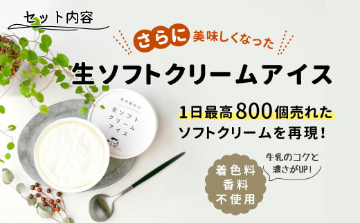 よくばりセット★！生ソフトクリームアイス 2個＆たい焼き (つぶあん) 5枚セット 5000円　アイスクリーム　ソフトクリーム　アイス　ミルク　牛乳　鯛焼き　粒あん　たいやき