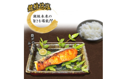 銀鮭5種食べ比べセット 西京漬け 粕漬け 甘塩 塩麹漬 柚庵漬 各70g×2切れ 【2月発送】