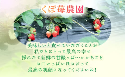 朝摘み 愛知県産 大粒 完熟やよい姫 約200g×4パック いちご やよい姫 完熟 愛西市/くぼ苺農園 [AECJ004]