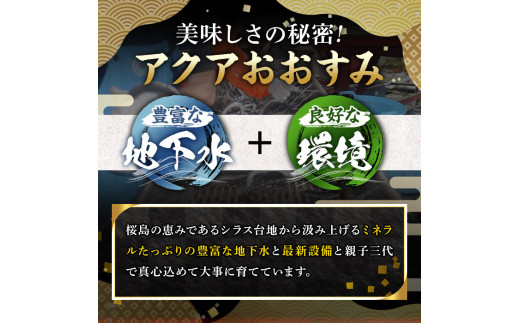 【0124314a-2501】＜1月上旬発送予定＞東串良町のうなぎ蒲焼(無頭)(2尾・計約300g・タレ、山椒付) うなぎ 高級 ウナギ 鰻 国産 蒲焼 蒲焼き たれ 鹿児島 ふるさと 人気【株式会社アクアおおすみ】