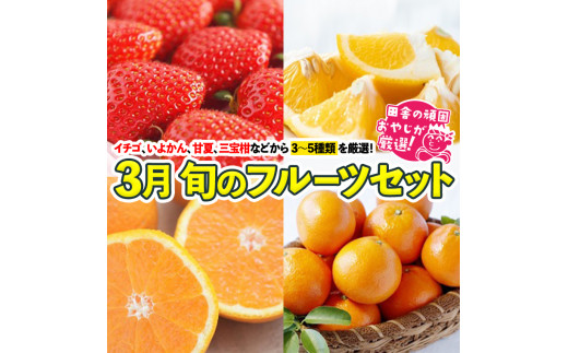 旬のフルーツセット 3月号 【令和6年3月より発送開始】 田舎の頑固おやじが厳選！