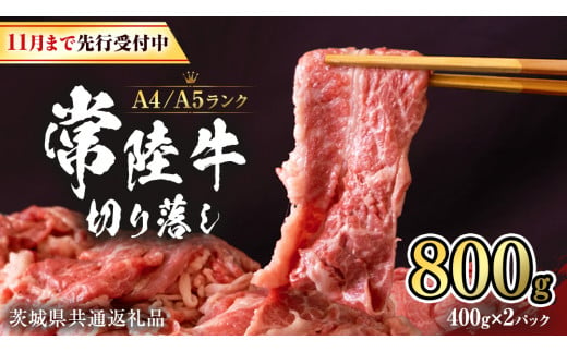 【 2024年12月配送 限定 】 常陸牛 切り落とし 合計 800g ( 400g × 2袋 ) 使いやすい 小分け パック A4 A5 ランク [11月まで先行受付] 茨城県共通返礼品 黒毛和牛 国産黒毛和牛 和牛 国産 牛肉 牛 お肉 肉 ひたち牛  [CD035sa]