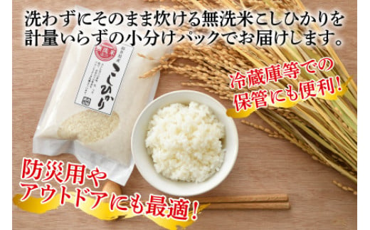 【令和6年産 新米】無洗米 福井県産 こしひかり 2合 × 20 パック