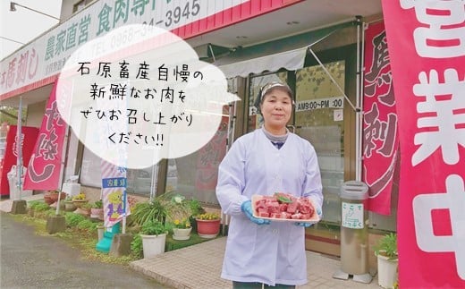 熊本県産　なごみ牛（交雑種）ロース 牛肉 | 熊本県 熊本 くまもと 和水町 なごみまち なごみ 牛肉 肉 なごみ牛 交雑種 ロース 冷凍