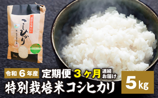 新米【定期便】3ヶ月連続お届け「令和六年産」特別栽培米 コシヒカリ 5kg 定期便 お米 コシヒカリ 3ヶ月お届け 新米 米 お米 コメ こめ 精米 ライス 白米 炭水化物 ご飯 主食 食卓 おにぎり お弁当 茨城県産