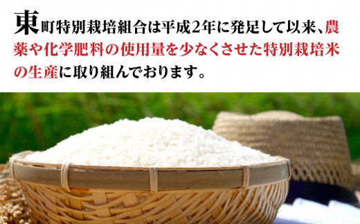 新米【定期便】3ヶ月連続お届け「令和六年産」特別栽培米 コシヒカリ 5kg 定期便 お米 コシヒカリ 3ヶ月お届け 新米 米 お米 コメ こめ 精米 ライス 白米 炭水化物 ご飯 主食 食卓 おにぎり お弁当 茨城県産