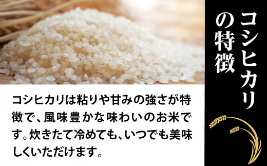 新米【定期便】3ヶ月連続お届け「令和六年産」特別栽培米 コシヒカリ 5kg 定期便 お米 コシヒカリ 3ヶ月お届け 新米 米 お米 コメ こめ 精米 ライス 白米 炭水化物 ご飯 主食 食卓 おにぎり お弁当 茨城県産