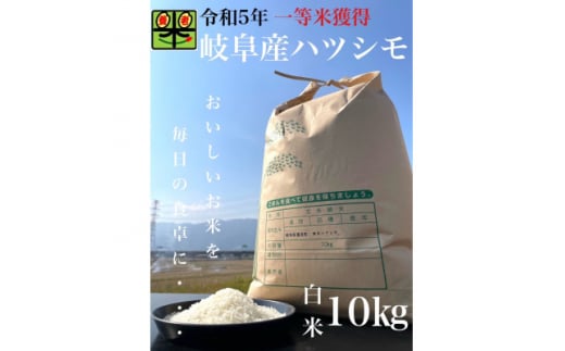 令和6年産　岐阜ハツシモ　10kg　精米【1148640】