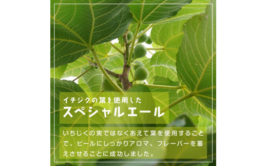 ６１６．Fig　Leaves　Beer　３本セット
※離島への配送不可