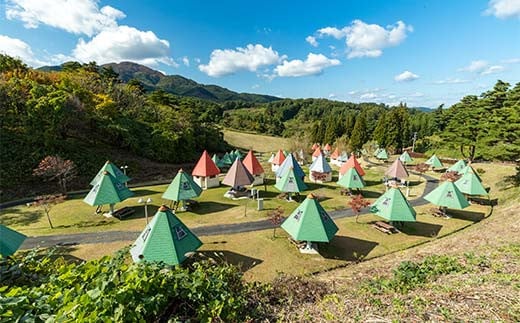 青森県 南部町 名川チェリリン村 ツリーハウス宿泊券 キャンプ アウトドア F21U-383