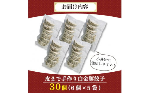 手作り餃子 冷凍 30個 6個×5パック 白金豚 ブランド豚  簡単調理 ご飯のお供 惣菜 お弁当 冷凍食品 10000円 1万円 黒船 大船渡市