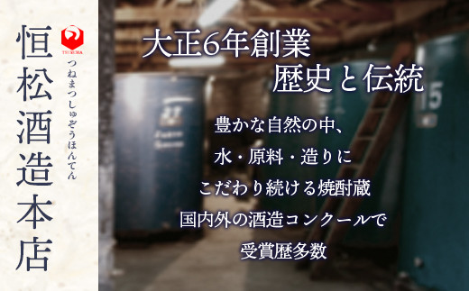 【年4回定期便】 減圧球磨拳 25度 1.8L 2本セット ×4回発送 ＜ 米焼酎 減圧 黄麹 無濾過 低温発酵 定期便 ＞ 040-0576