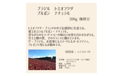 【上田珈琲豆焙煎堂】珈琲豆 中深煎り セット 200g×2種 セット ブラジルブルボン・グアテマラSHB【豆】  [52210994]