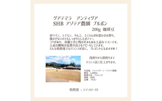 【上田珈琲豆焙煎堂】珈琲豆 中深煎り セット 200g×2種 セット ブラジルブルボン・グアテマラSHB【豆】  [52210994]
