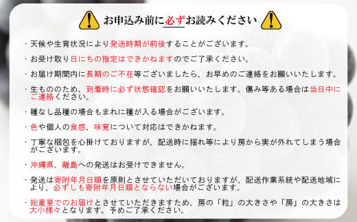 [No.5657-3799]【先行予約】2024年産【種なし巨峰】約2kg（約4～6房）《遠山農園》■2024年発送■※9月上旬頃～10月下旬頃まで順次発送予定
