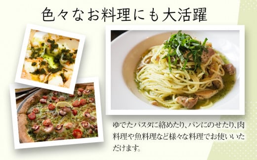 大葉ソース ジェノベーゼ風 90g×2個セット 田中醤油 植木農園 大葉使用 調味料 パスタソース スパゲッティ ピザソース バケット サラダ  大分県産 九州産 中津市 熨斗対応