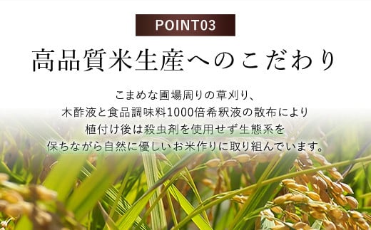 【令和6年産新米】福知山産コシヒカリ『天海の郷』天空に広がる天海の郷　5kg（白米） ふるさと納税  こめ コメ 米 コシヒカリ こしひかり おいしい 美味しい 白米 精米 天空 雲海 天海の郷 京都府 福知山市