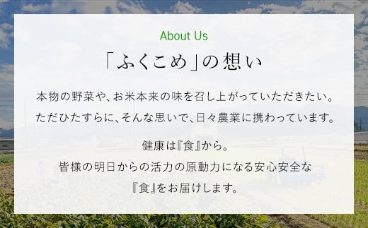 【令和6年産新米】福知山産コシヒカリ『天海の郷』天空に広がる天海の郷　5kg（白米） ふるさと納税  こめ コメ 米 コシヒカリ こしひかり おいしい 美味しい 白米 精米 天空 雲海 天海の郷 京都府 福知山市