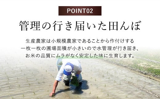 【令和6年産新米】福知山産コシヒカリ『天海の郷』天空に広がる天海の郷　5kg（白米） ふるさと納税  こめ コメ 米 コシヒカリ こしひかり おいしい 美味しい 白米 精米 天空 雲海 天海の郷 京都府 福知山市