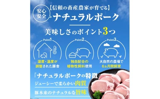 E05041 ＜定期便・計5回(隔月)＞ 鹿児島県産豚厚切りステーキ&amp;しゃぶしゃぶ三昧セット(総量約16kg) 肝付町 特産品 鹿児島 豚肉 豚バラ ロース 厚切り ステーキ とんかつ しゃぶしゃぶ【大将食品】