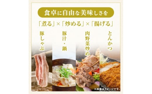 E05041 ＜定期便・計5回(隔月)＞ 鹿児島県産豚厚切りステーキ&amp;しゃぶしゃぶ三昧セット(総量約16kg) 肝付町 特産品 鹿児島 豚肉 豚バラ ロース 厚切り ステーキ とんかつ しゃぶしゃぶ【大将食品】