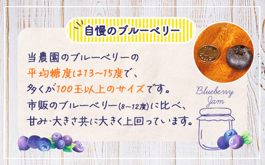 【定期便6カ月】北海道 豊浦町産 無添加手作り ブルーベリージャム180g×3個 【ふるさと納税 人気 おすすめ ランキング 果物 ブルーベリー 国産ブルーベリー ブルーベリージャム 手作り 無添加 大容量 おいしい 美味しい あまい ジューシー 定期便 北海道 豊浦町 送料無料】 TYUS011