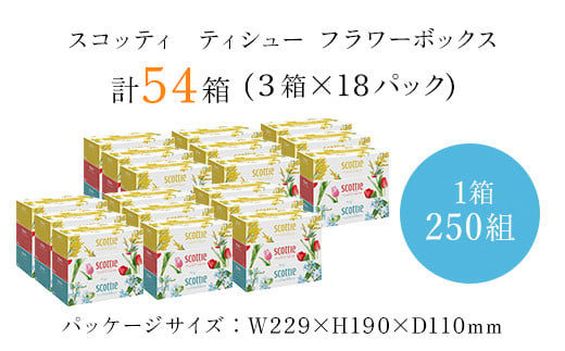 スコッティ ティシュー フラワーボックス 250組 54箱 (1ケース3箱×18パック)  ボックスティッシュ 54箱 ティッシュ ティシュー 長持ち 大容量 リピート 高品質 素敵 保管 クレシア ティッシュペーパー 紙 日用品 消耗品 生活必需品 まとめ買い ふるさと納税 箱ティッシュ 家庭用 防災 常備品 ストック 京都府 福知山市