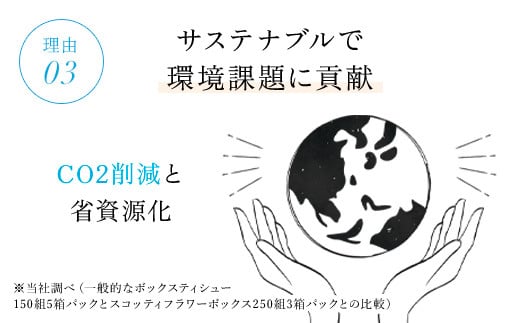 スコッティ ティシュー フラワーボックス 250組 54箱 (1ケース3箱×18パック)  ボックスティッシュ 54箱 ティッシュ ティシュー 長持ち 大容量 リピート 高品質 素敵 保管 クレシア ティッシュペーパー 紙 日用品 消耗品 生活必需品 まとめ買い ふるさと納税 箱ティッシュ 家庭用 防災 常備品 ストック 京都府 福知山市