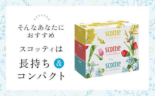 スコッティ ティシュー フラワーボックス 250組 54箱 (1ケース3箱×18パック)  ボックスティッシュ 54箱 ティッシュ ティシュー 長持ち 大容量 リピート 高品質 素敵 保管 クレシア ティッシュペーパー 紙 日用品 消耗品 生活必需品 まとめ買い ふるさと納税 箱ティッシュ 家庭用 防災 常備品 ストック 京都府 福知山市