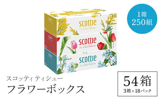 スコッティ ティシュー フラワーボックス 250組 54箱 (1ケース3箱×18パック)  ボックスティッシュ 54箱 ティッシュ ティシュー 長持ち 大容量 リピート 高品質 素敵 保管 クレシア ティッシュペーパー 紙 日用品 消耗品 生活必需品 まとめ買い ふるさと納税 箱ティッシュ 家庭用 防災 常備品 ストック 京都府 福知山市