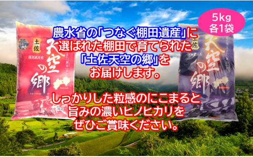 農林水産省の「つなぐ棚田遺産」に選ばれた棚田で育てられた棚田米 土佐天空の郷 5kg食べくらべセット