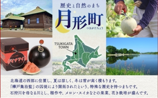 北海道 定期便 6ヵ月連続6回 令和6年産 ななつぼし 無洗米 4.5kg×4袋 特A 米 白米 ご飯 お米 ごはん 国産 ブランド米 時短 便利 常温 お取り寄せ 産地直送 送料無料  [№5783-0529]