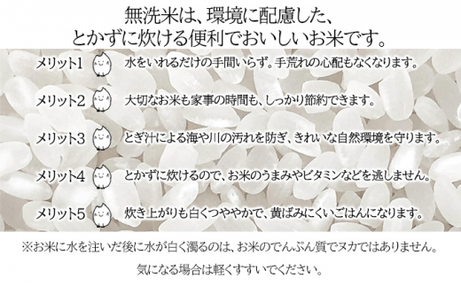 北海道 定期便 6ヵ月連続6回 令和6年産 ななつぼし 無洗米 4.5kg×4袋 特A 米 白米 ご飯 お米 ごはん 国産 ブランド米 時短 便利 常温 お取り寄せ 産地直送 送料無料  [№5783-0529]