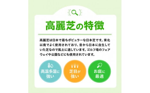 老舗日向芝産「高麗芝」2平方メートル 【 九州産 川南町産 宮崎県産 芝生 日本芝 ガーデニング 】