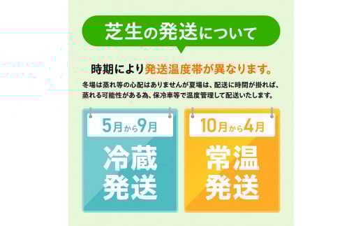 老舗日向芝産「高麗芝」2平方メートル 【 九州産 川南町産 宮崎県産 芝生 日本芝 ガーデニング 】