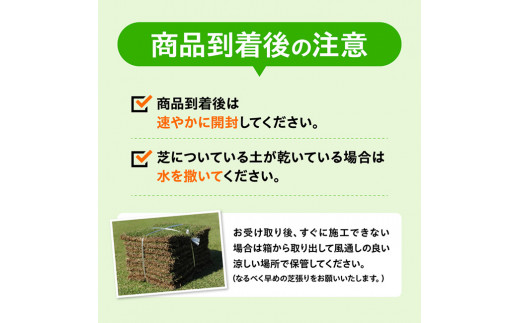 老舗日向芝産「高麗芝」2平方メートル 【 九州産 川南町産 宮崎県産 芝生 日本芝 ガーデニング 】