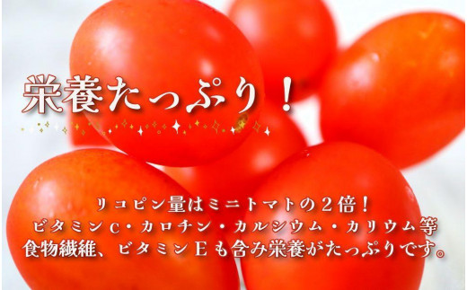 【2025年4月出荷分】和歌山産ミニトマト「アイコトマト」約2kg（S・Mサイズおまかせ）【TM140】