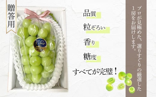 ぶどう 2025年 先行予約 岡山県産 高級 シャインマスカット 700g以上 1房 贈答品＜9月以降発送＞