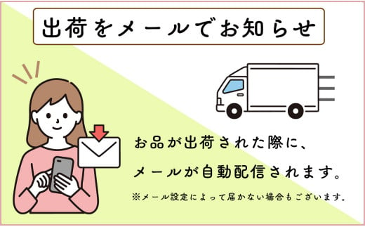 お好きな時期にそれぞれお届けギフト【佐賀牛サーロイン250g×2枚を5か所へ贈る！】牛肉 黒毛和牛 極上の佐賀牛 厳選 150000円 15万円 お肉 おにく  ギフト プレゼント 贈り物 N150-2