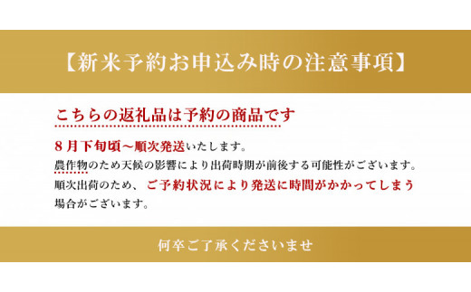 MB02-3 新米 令和5年産 きぬひかり 玄米 30kg × 1袋 | 米 きぬひかり 玄米 熊本 玉名 新米