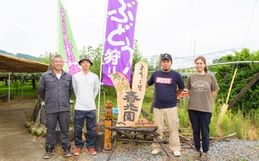 【先行予約】春光園 秋月梨 8玉から15玉 2025年8月下旬から9月上旬お届け