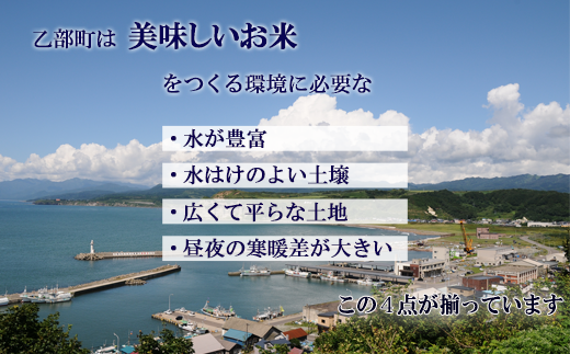 ＜北海道の米（１０kg）～ふっくらつややか！若い農家が作る新米～＞米 国産米 北海道 道産 道産米