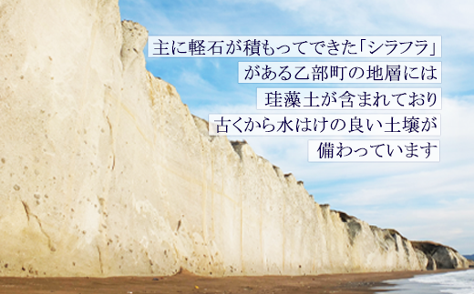 ＜北海道の米（１０kg）～ふっくらつややか！若い農家が作る新米～＞米 国産米 北海道 道産 道産米