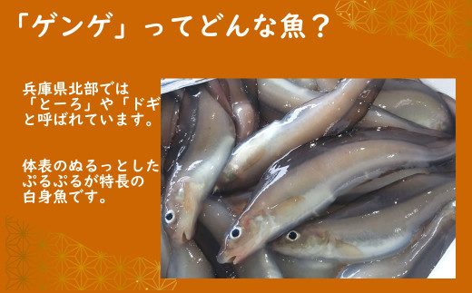 ゲンゲ（ドギ/トーロ/水魚）お吸い物　5パック（5人前）但馬ふるさとの味