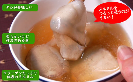 ゲンゲ（ドギ/トーロ/水魚）お吸い物　5パック（5人前）但馬ふるさとの味