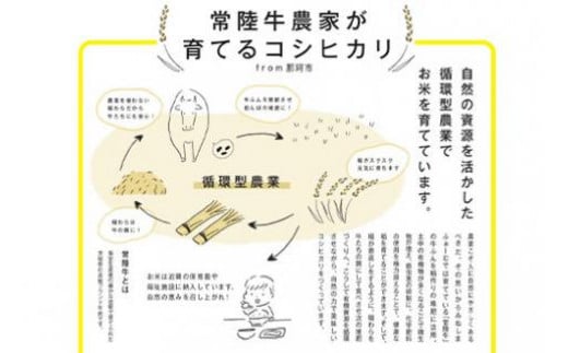 令和6年度産 みねしまふぁーむ 常陸牛農家が育てるコシヒカリ 5Kg コシヒカリ 低農薬 低化学肥料 米 発送直前に精米 精米 コシヒカリ米 茨城県産 白米 お米 コメ おこめ こめ こしひかり 有機 ブランド 健康 ギフト 贈り物