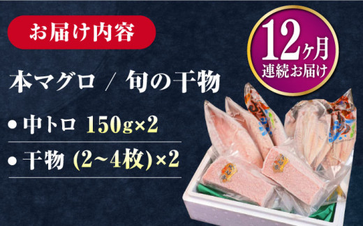 【全12回定期便】対馬産 本マグロ 中トロ 300g & 旬の干物 2種 《対馬市》【対海】 [WAH011] マグロ まぐろ 鮪 本鮪 本マグロ 養殖 トロ 中トロ 中とろ 刺身 干物 旬 魚 地魚 アジ カマス 冷凍 海鮮 柵 お祝い 贈答 定期便 毎月届く